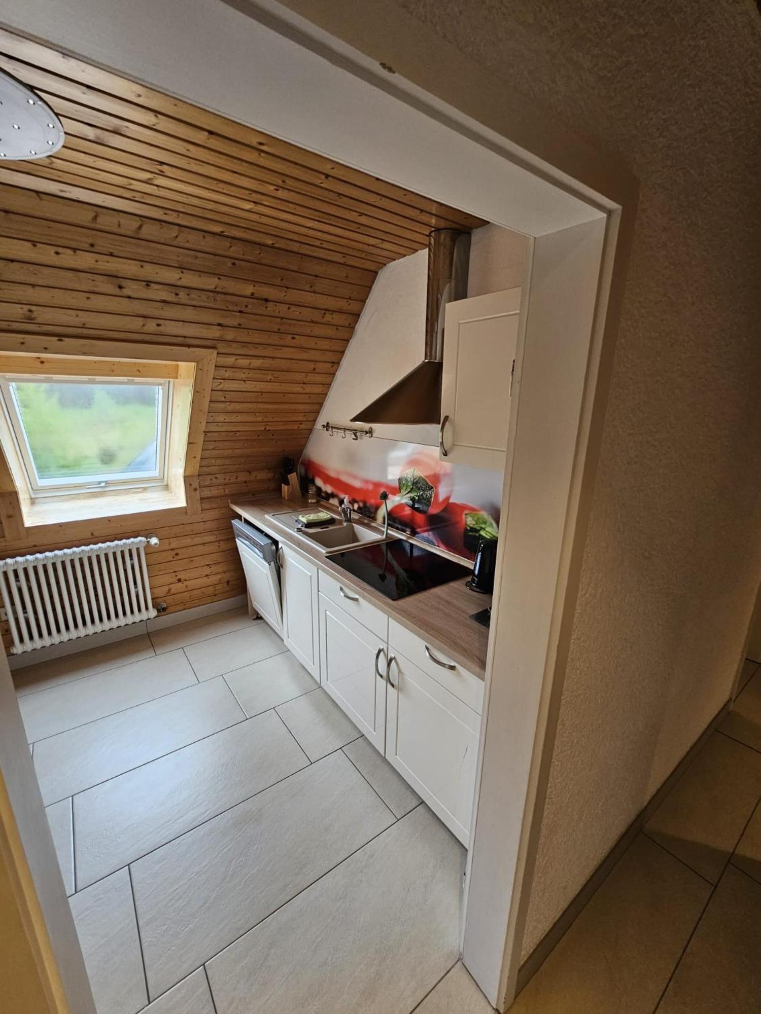 Apartamento Stuub Jostal Titisee-Neustadt Exterior foto